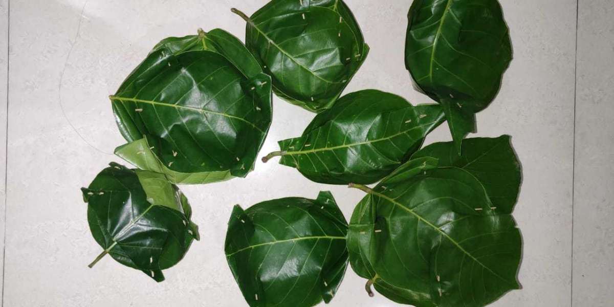 Types of Sal leaves bowls