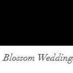 Blossom Weddings Profile Picture