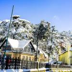 Shimla Tourism profile picture