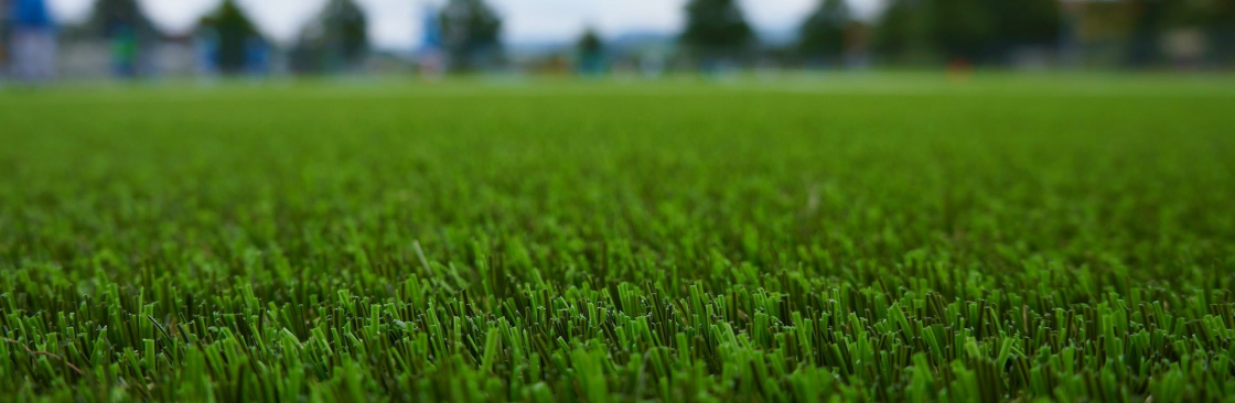 Artificial Grass Brisbane Cover Image