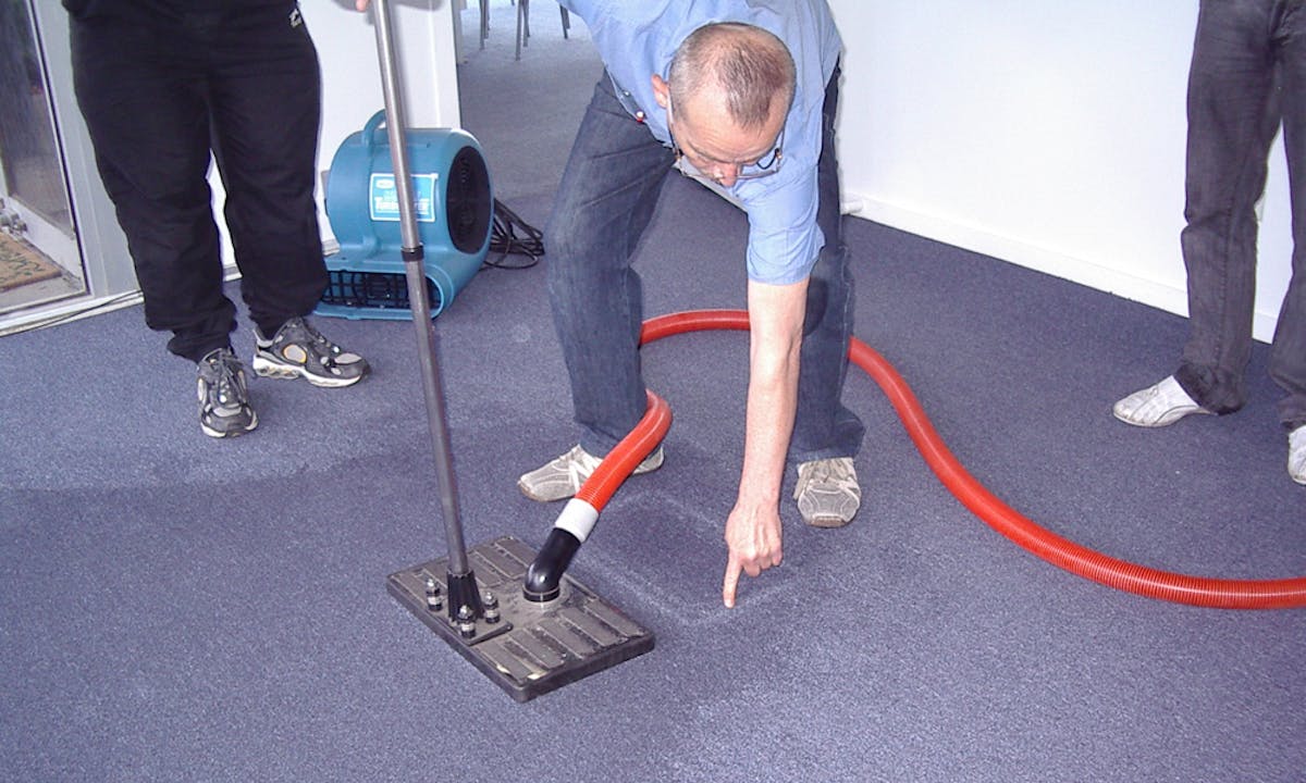 Look At The Possible Steps Carry Out For Carpet Drying