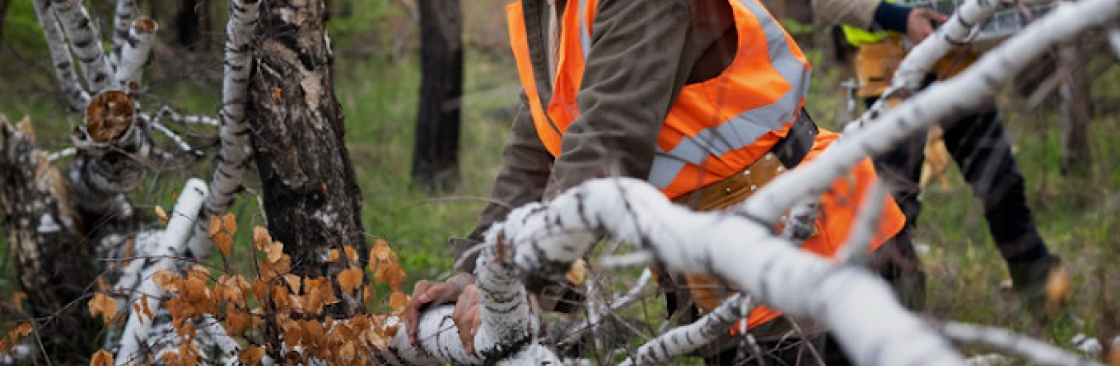 Local Tree Removal Cover Image