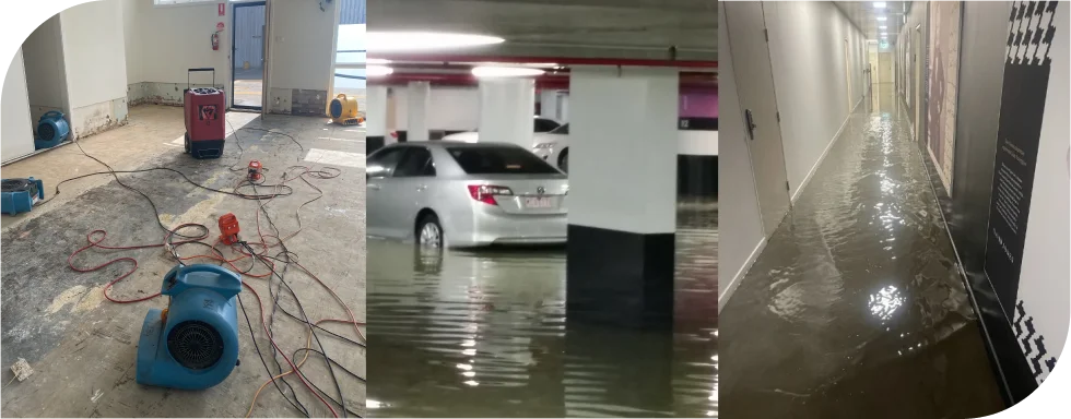 Why are Flood Damage Cleanup Services required? Mould, Mildew, and Structural Risks