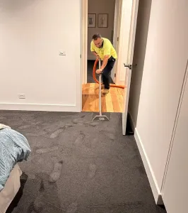 What to Do Immediately After Water Damage Affects Your Carpet? -