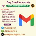 USA BIG SMM Profile Picture