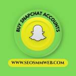 Buy Snapchat Accounts Profile Picture