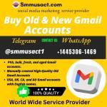 shhysatr14 Profile Picture