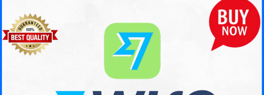 BUY WISE Cover Image