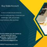 pvazone usa Profile Picture